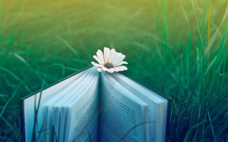 书 book